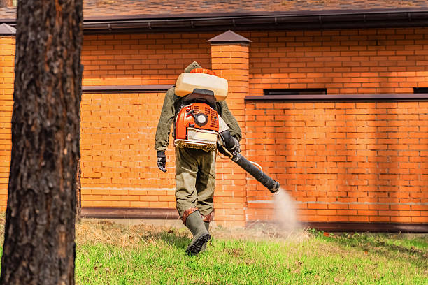 Bed Bug Clearance Verification and Documentation in Rio Grande